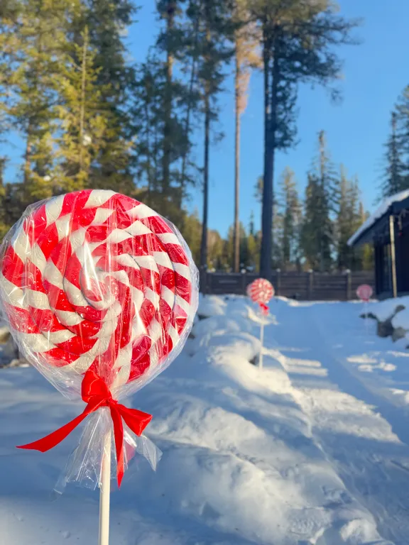 Шале темный