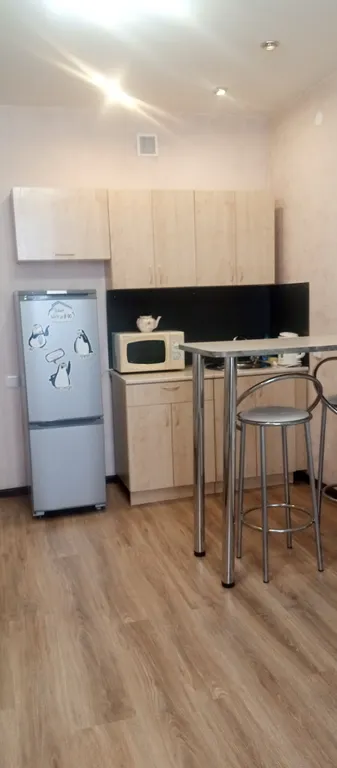 Квартира Апартаменты в центре — аренда посуточно в Барнаул