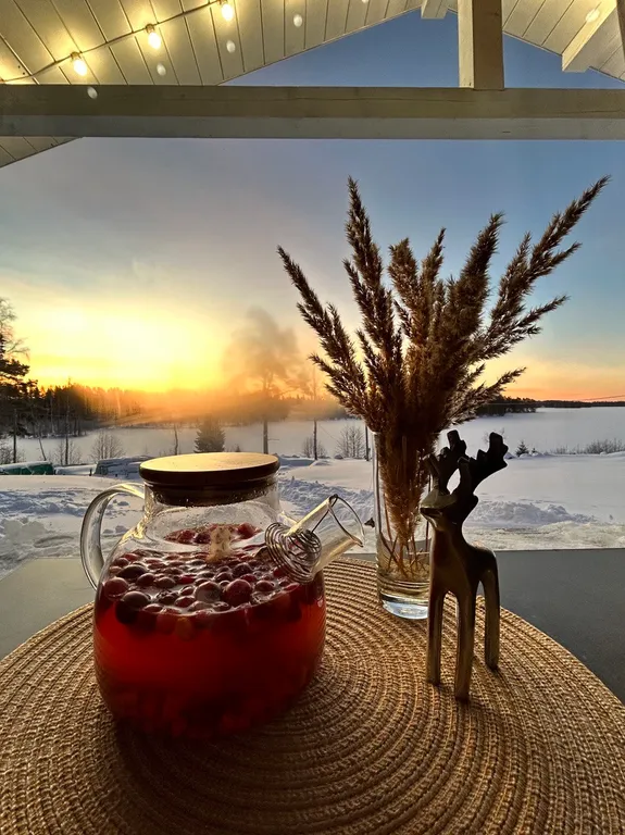 Дом Сканди у озера