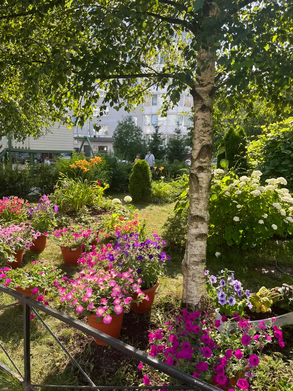 Большая квартира с зонированием и с видом на лес