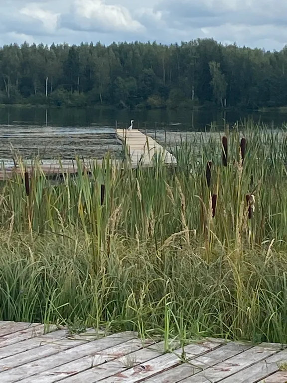 Дом у воды Sutoki Villa