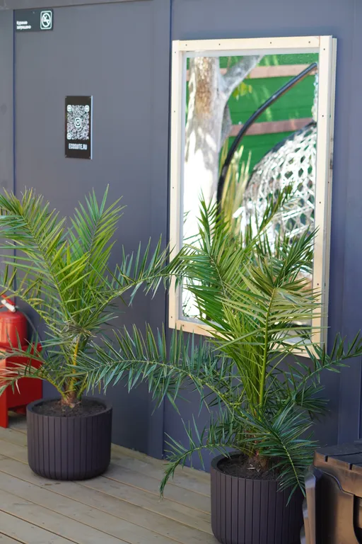 Эко-дом 60 м2