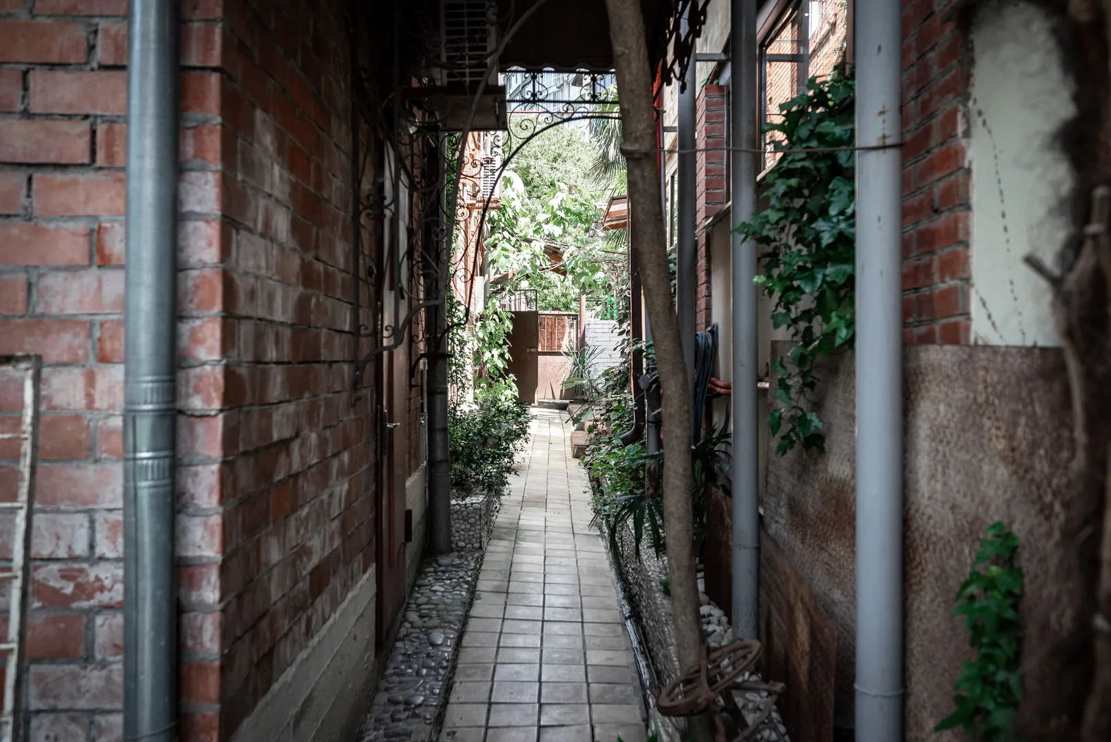 Фото