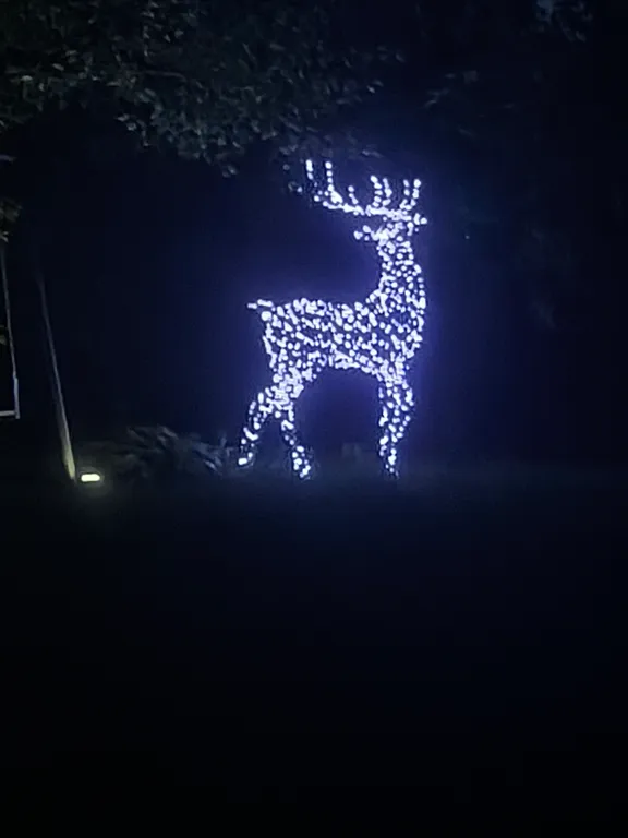 Домик в саду