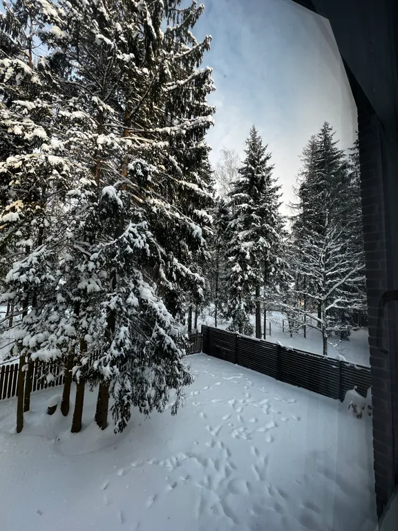 Просторный дом с камином в сосновом лесу