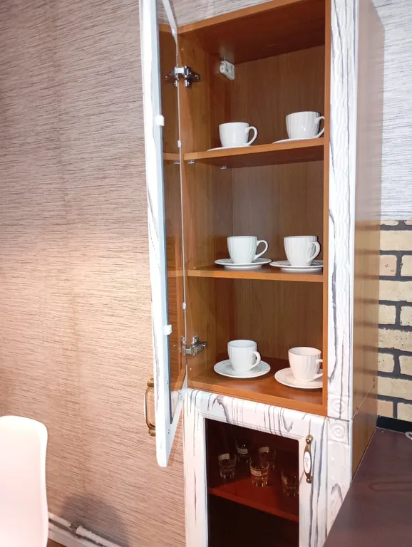 Уютная и чистая квартира в самом центре с новым ремонтом