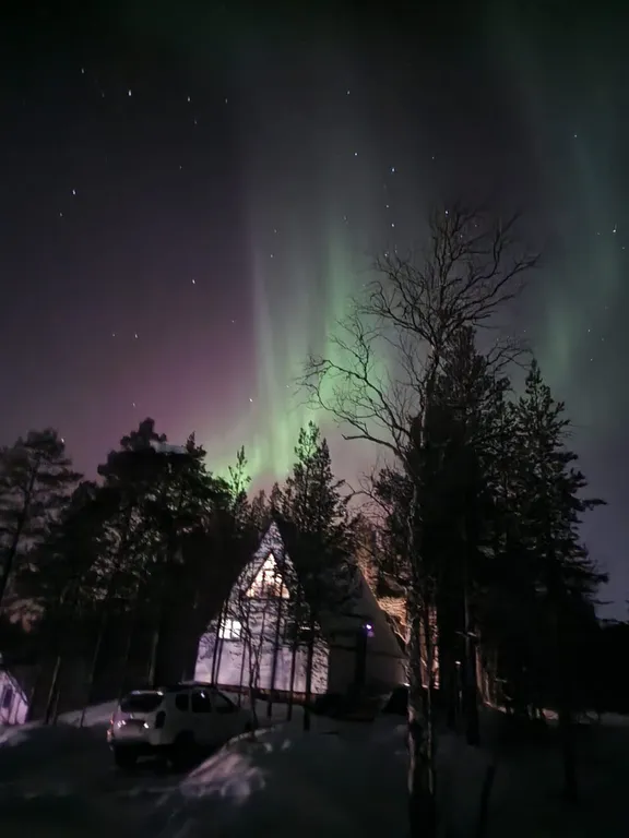 Современный дом в сосновом лесу