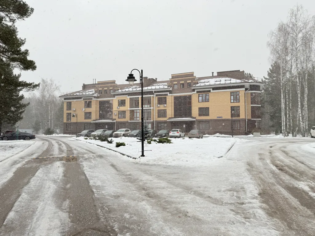 Апартамент в сосновом лесу