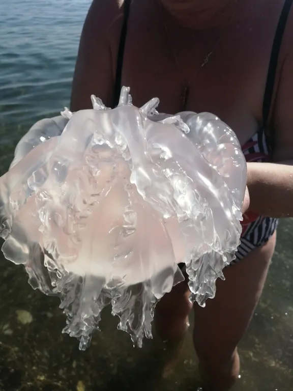 Номер с террасой и с видом на море