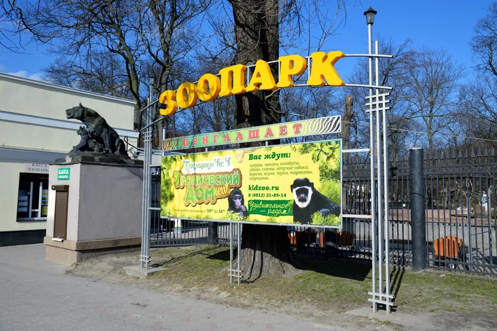 Квартира Квартира в самом центре — Калининград