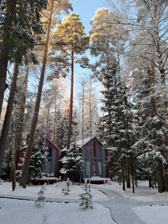 Барнхаус в лесу с голубой гостиной