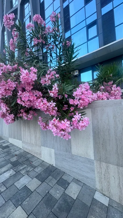 Уютная квартира три спальных места