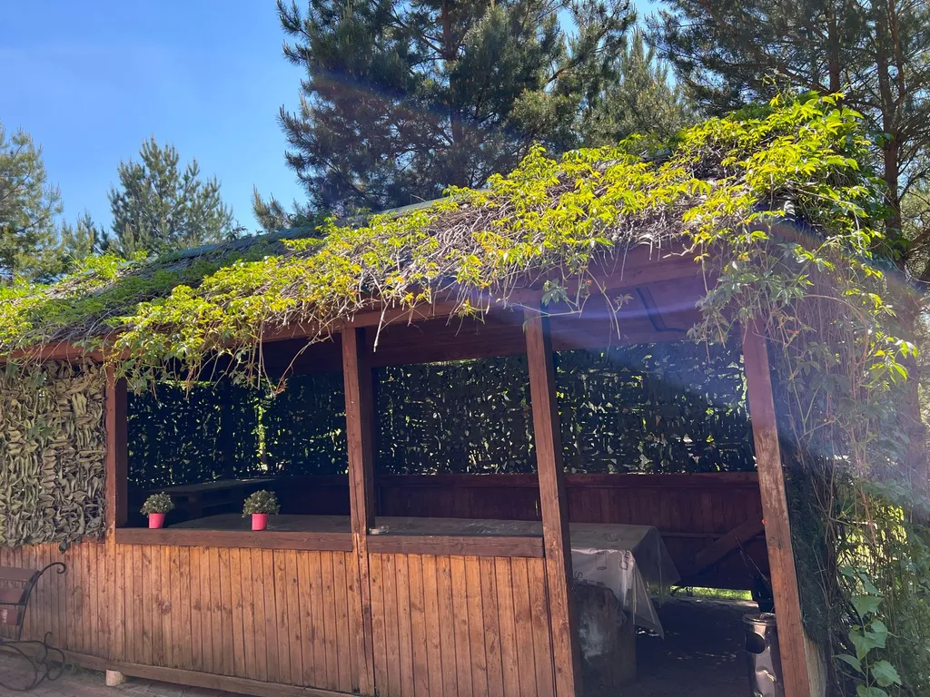 Коттедж - усадьба прянь - Кошкин дом