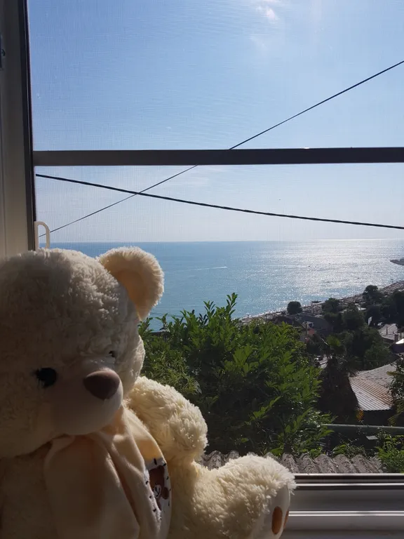 Квартира Комната — Лазаревское