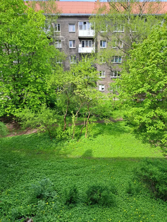 Квартира Уютная квартира в центре города — Калининград