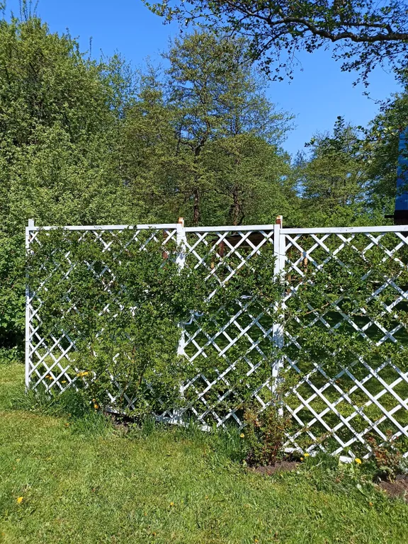 Коттедж Часть дома на Куршской косе — Рыбачий