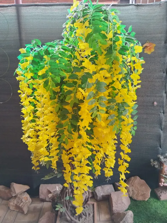 Квартира Квартира Гостевой дом " калинина 20 " номер люкс " 3 а " — Ейск