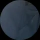Павел