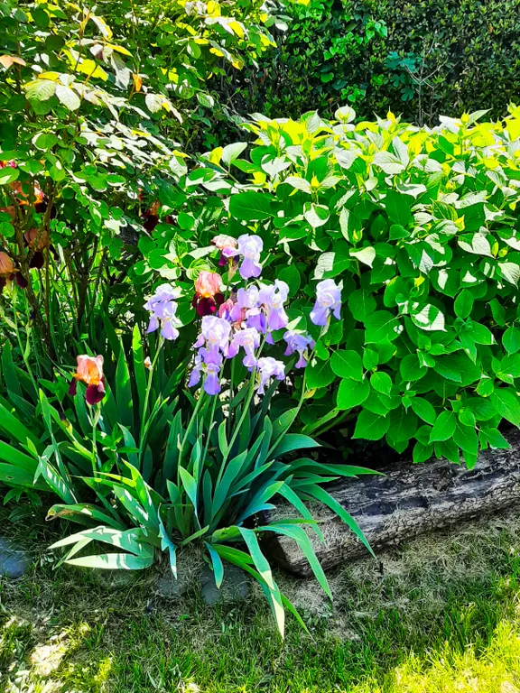 Гостевой дом Anna