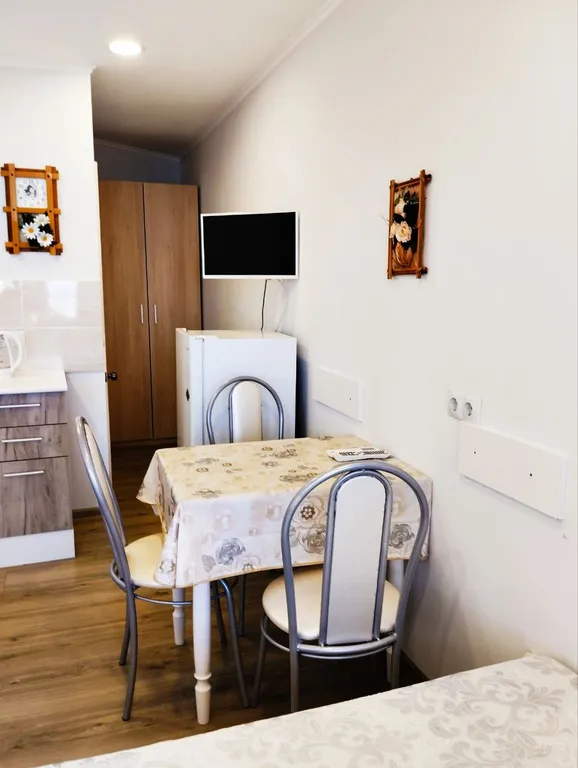 Уютная Белая студия с видом на море