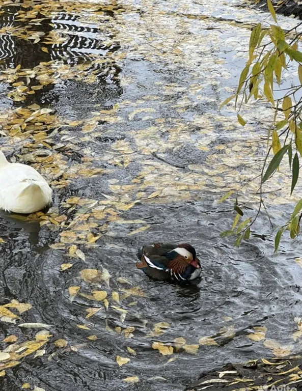 Апартамент с дизайнерским ремонтом, с видом на горы
