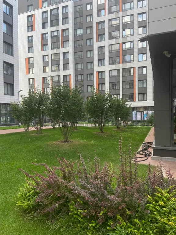 Видовая бизнес-студия рядом с метро Лесная