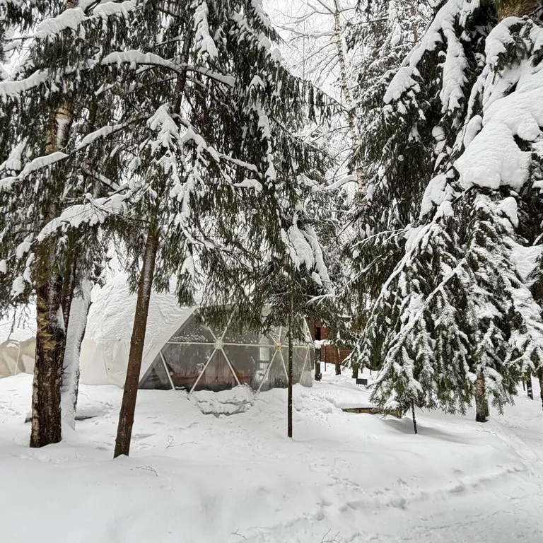Коттедж Дом-купольный в сосновом лесу для двоих — аренда посуточно в Звенигород