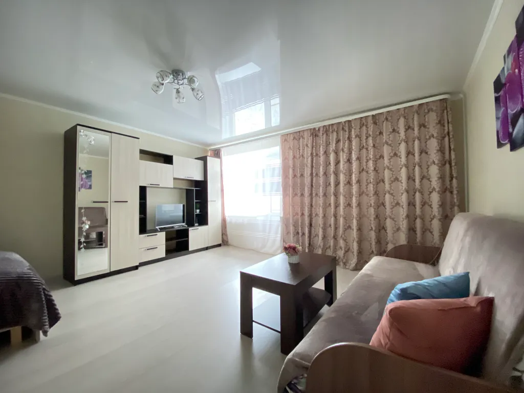 Апартамент у Химика