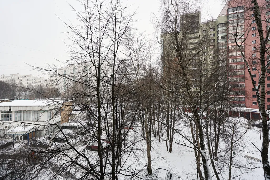 Квартира вблизи Спорттех Арены в тихом, экологически чистом районе
