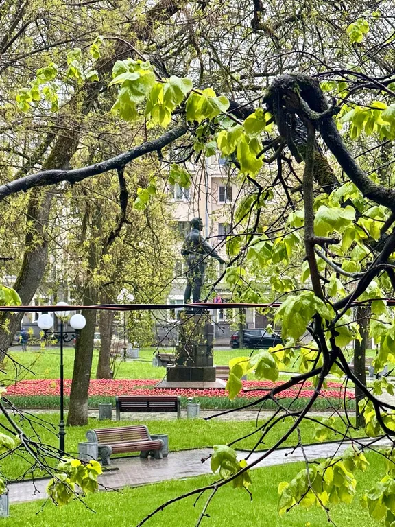 Апартаменты в центре в доме Гельдта