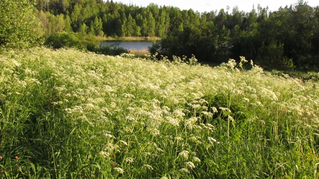 Коттедж Коттедж Шале у озера — Приозерск