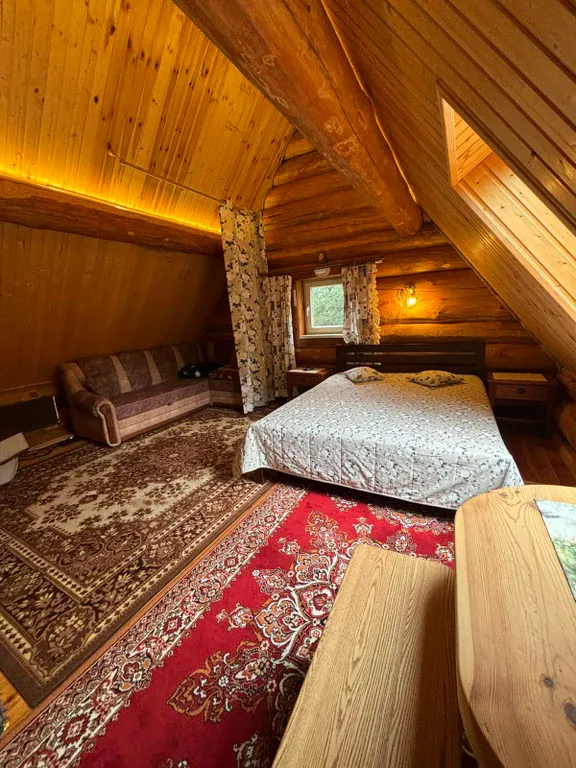 Дом с печью у Нарочи