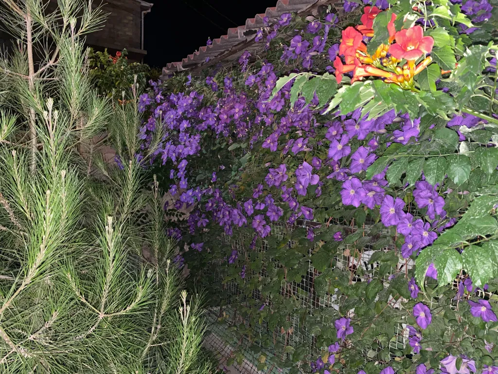 Дом под ключ