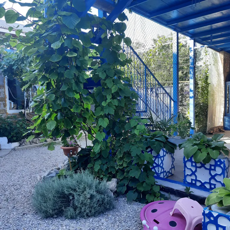 Квартира Комната — Феодосия