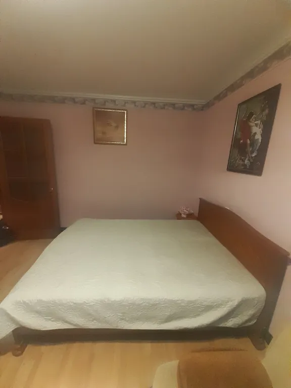 Квартира с видом на берёзы