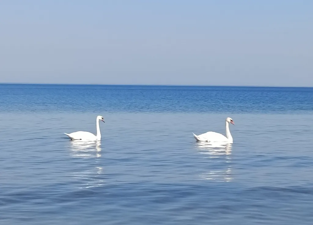 Умная квартира в уютном и тихом районе