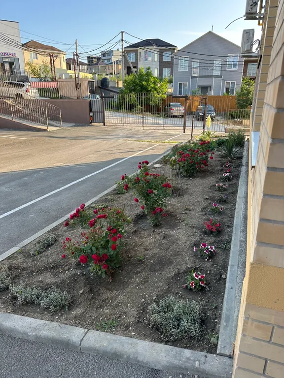 Квартира в тихом месте