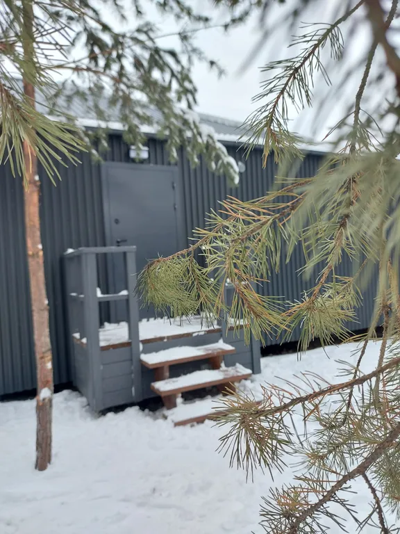 Загородный дом в лесу