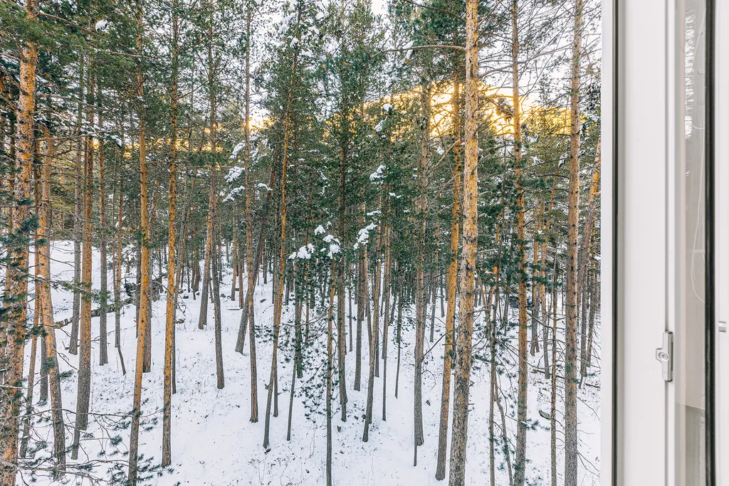 Квартира Luxury