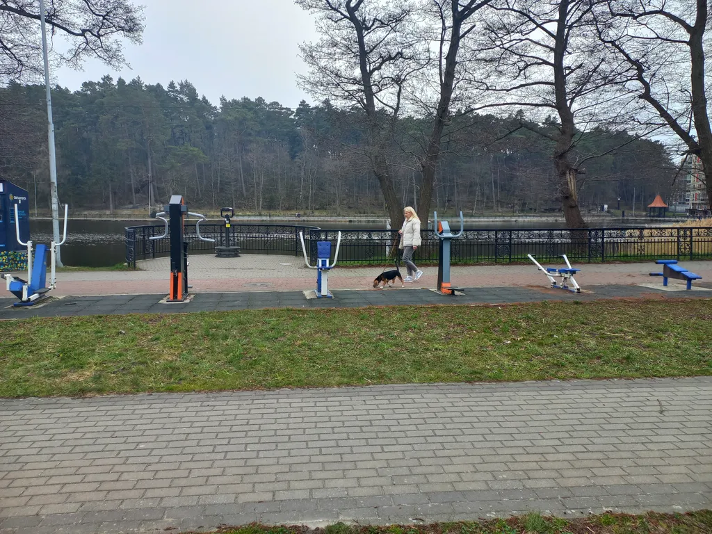 Квартира Апартаменты Александра рядом с сосновым бором и озером — Светлогорск