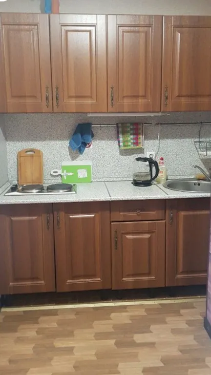 Питер у Ледового