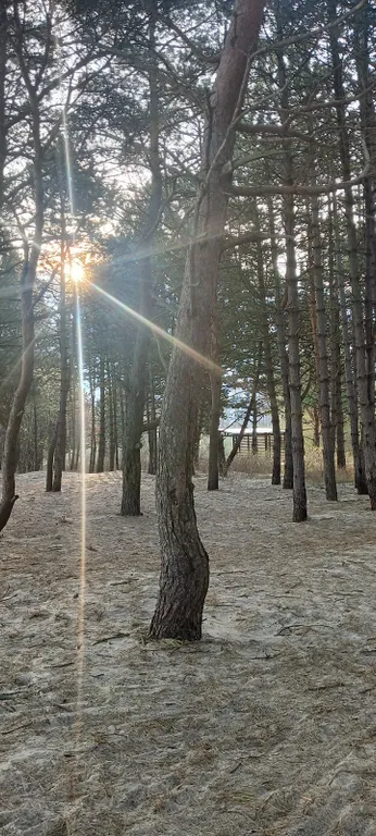 Морской домик на Балтийском побережье