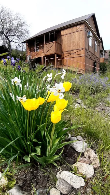 Большой дом с мангалом