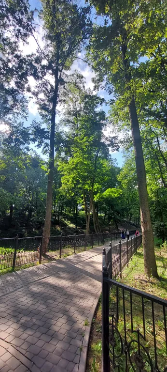 Квартира с видом на парк и закаты