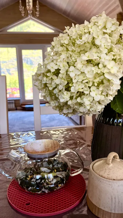 Наш уютный гостевой дом Катунская Синица