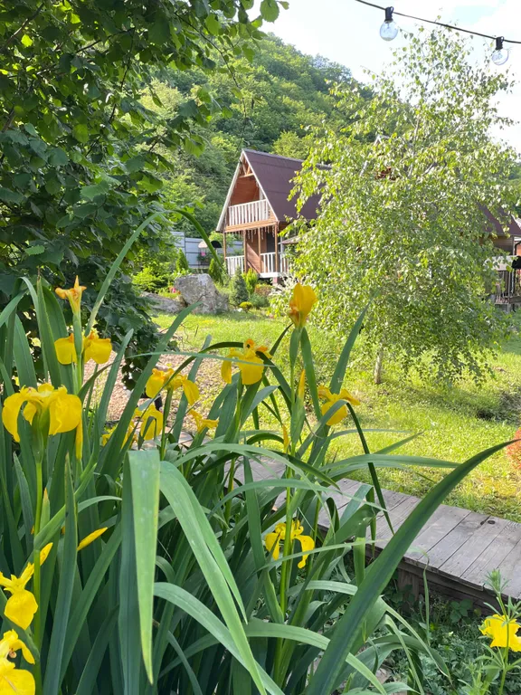 Домик у леса