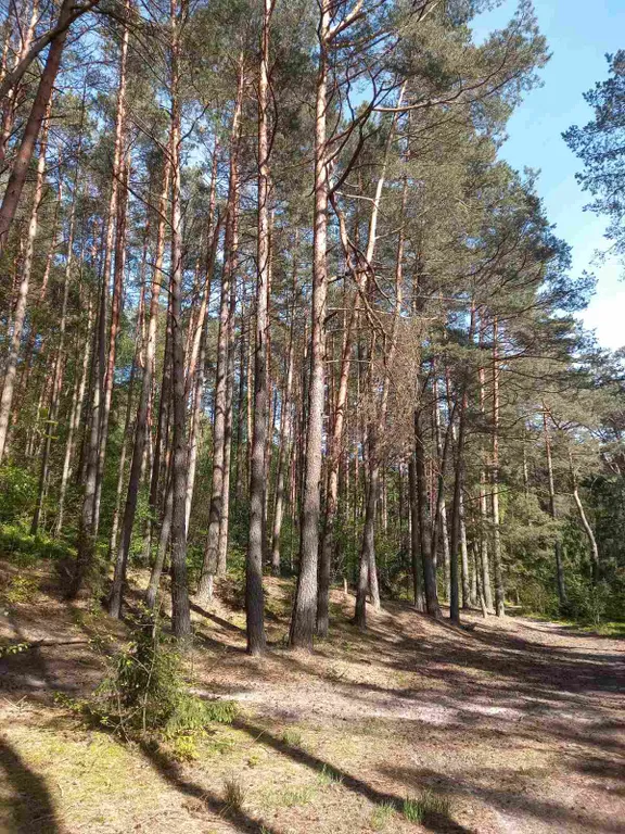 Квартира 1-комнатная Квартира — Сальское