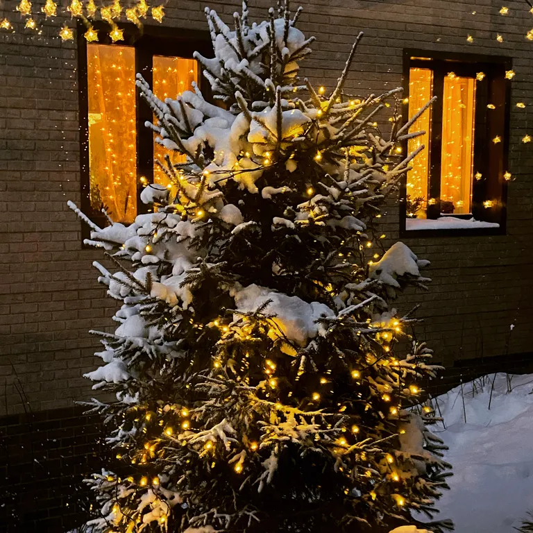 Домик в Горном Алтае с видом на горы