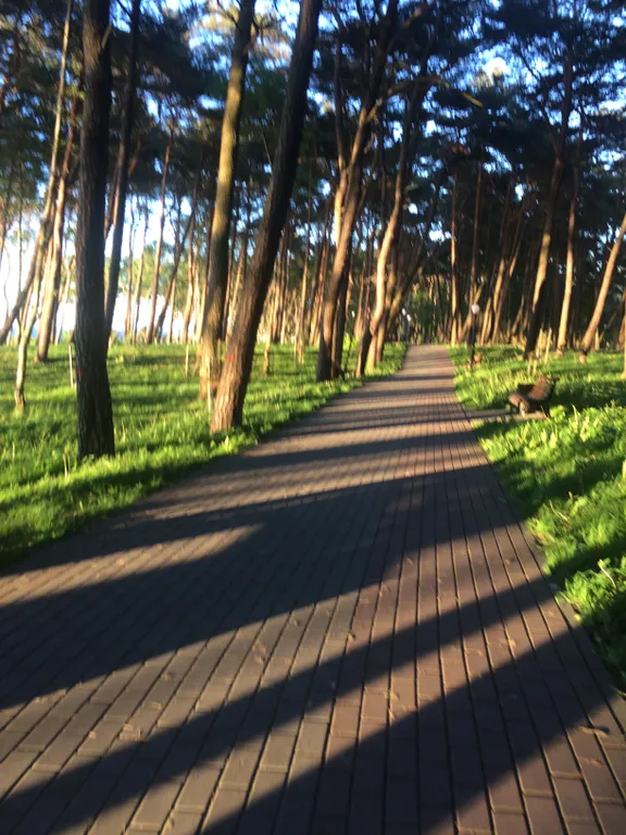 Квартира Уютная квартира рядом с морем — Пионерский