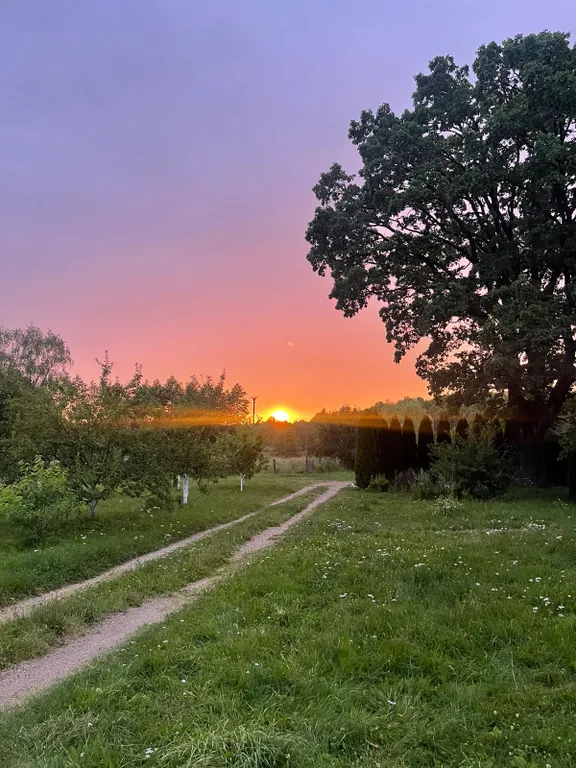 Живописная усадьба в лесу у озера